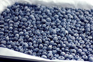 Фото Frozen wild blueberries in a 3 kg box