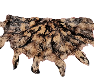 Raccoon carpet