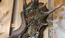 Preview elk horn with leopard