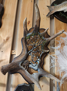 Превью elk horn with leopard