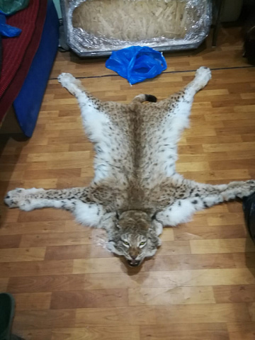 Фото Lynx carpet 100 cm with claw