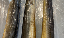 Preview Baltic Eel hot smoked 600-1000 g in a container