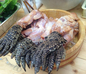 Crocodile meat (paws)