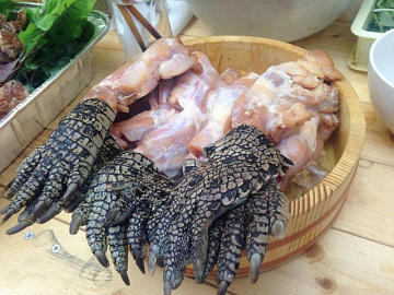 Фото Crocodile meat (paws)
