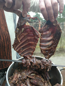 Превью Beaver rib