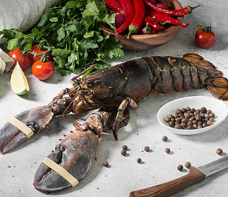 Lobster (lobster) 1+ kg