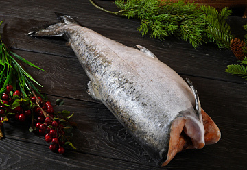 Фото Chinook salmon frozen PBG 3-5 kg