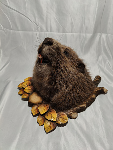 Превью Beaver on a medallion without paws