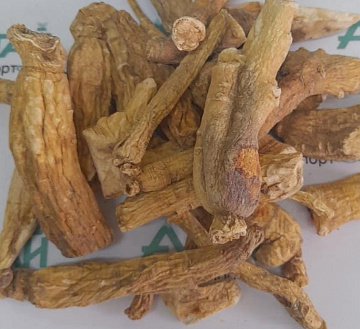 Фото Ginseng root