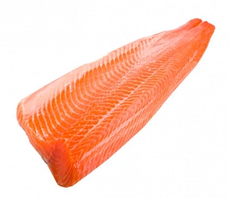 Frozen trout fillet from fresh fish