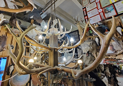 Превью Chandelier with deer horns 3 tiers