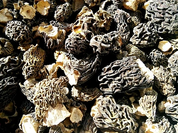 Фото  Dried morel mushrooms (2.5 kg box)