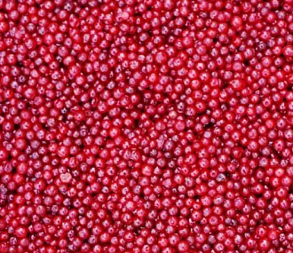 Lingonberry (box 10 kg)