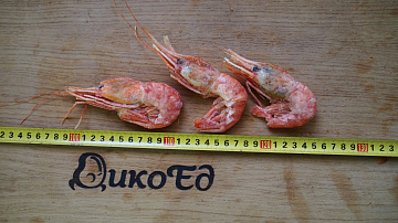 Фото Botan shrimp 36/40