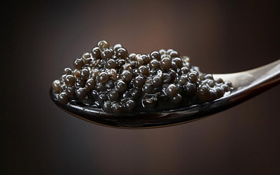 Превью Downhole sturgeon caviar (glass jar) 50 g