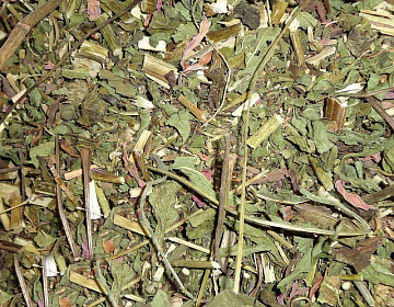 Фото Dried Echinacea leaves