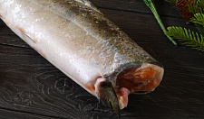 Preview Chinook salmon, unit frozen