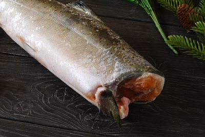 Превью Chinook salmon, unit frozen