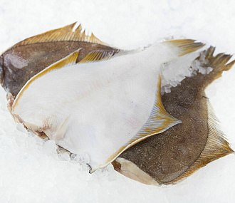 White-bellied flounder PBG (box 18 kg)