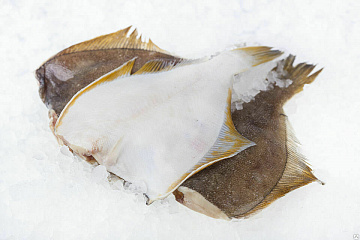 Фото White-bellied flounder PBG (box 18 kg)
