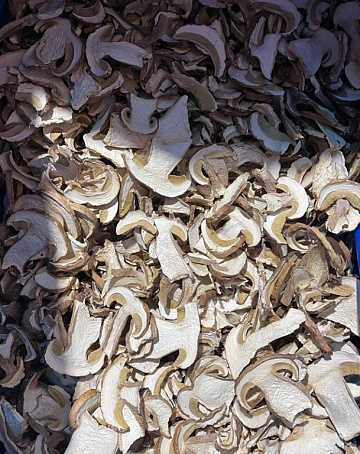 Фото Dried porcini mushrooms