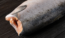 Preview Chinook salmon frozen PBG 3-5 kg