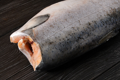 Превью Chinook salmon frozen PBG 3-5 kg