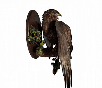 A grouse hawk on medallion