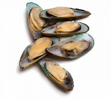 Фото Mussels kiwi on shell halves