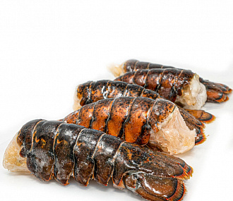 Canadian lobster tails s/m 100-250g