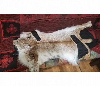 Lynx carpet 100 cm without claw, fluffy fur