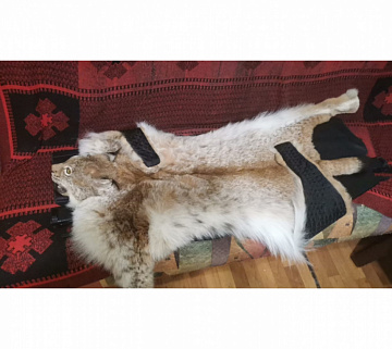 Фото Lynx carpet 100 cm without claw, fluffy fur