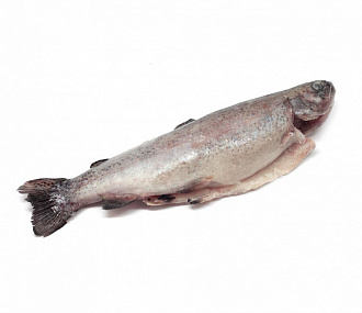 Piece frozen rainbow trout, gutted with head (200-250g)