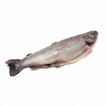 Фото Piece frozen rainbow trout, gutted with head (200-250g)