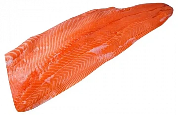 Фото Coho salmon PREM fillet Trim D, skin-on, wet 1.3-1.8 kg