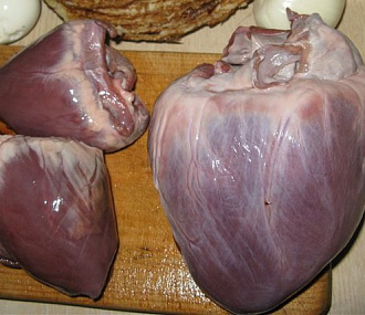 Bear heart