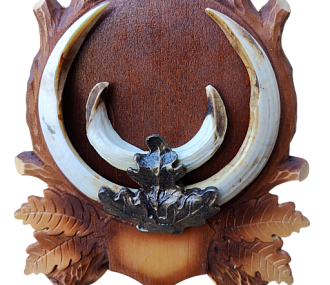 Boar tusks on the medallion