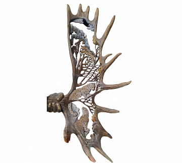 Фото Elk horn with leopard