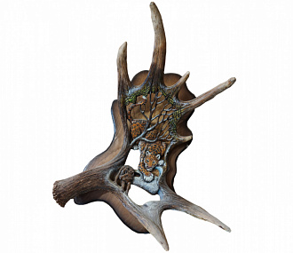 elk horn with leopard