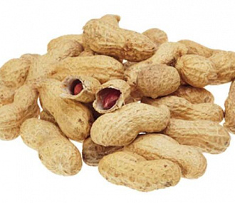 Unpeeled peanuts (raw)