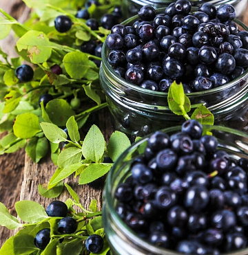 Фото Fresh frozen blueberries 10 kg