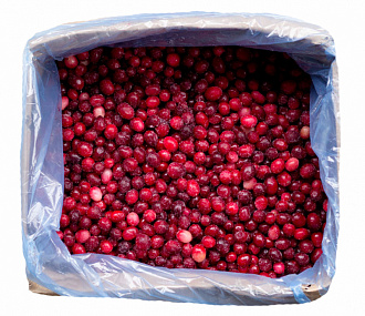 Wild cranberry 5 kg