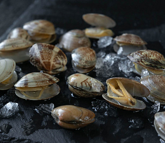 Vongole in the sink