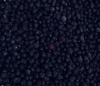 Frozen wild blueberries in a 10 kg box