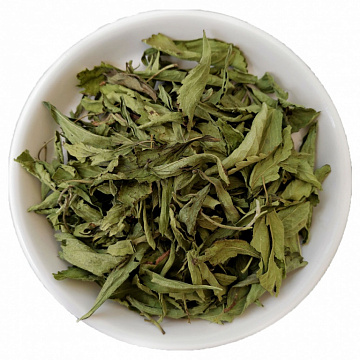 Фото dried stevia leaf