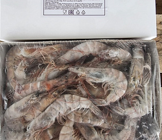 Whole king shrimp Vannamei 30/40