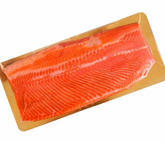 Trout fillet lightly salted from fresh fish