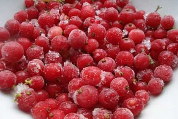 Фото Quick-frozen red currant 10 kg