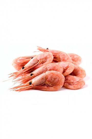 Фото Northern shrimp v/m n/r MAGADANSKAYA 60/80 