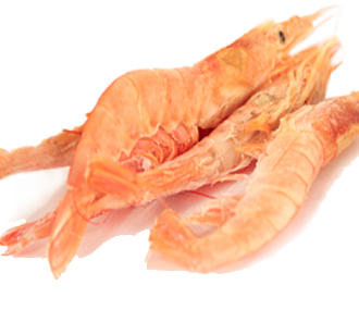 Argentinian shrimp C1 30/45 